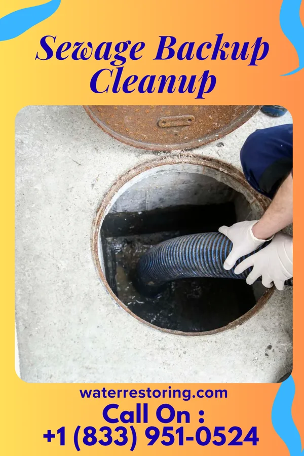 Sewage Backup Cleanup in Orlando, FL
